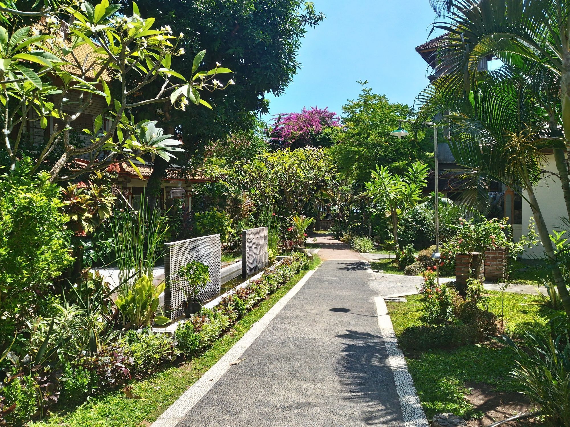 Lovina Beach Hotel Pabean Buleleng Esterno foto